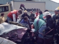 Varias personas asisten a la víctima de un accidente de automóvil