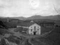 Albiasu