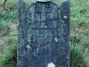 San Migeleko hilarria
