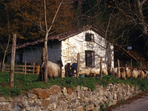 [Bizkalatza edo Larrebarrengo errota]