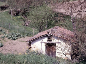 [Txabola]