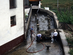 [Antigua errotaren garbiketa-lanak]