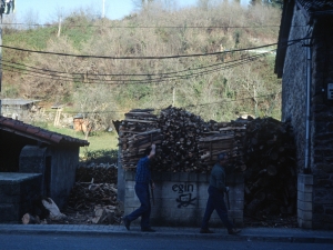 [Egur bilketa]