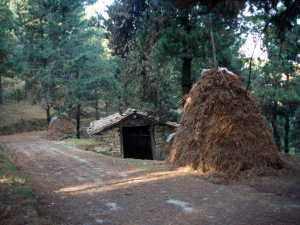 Altamirako txabola