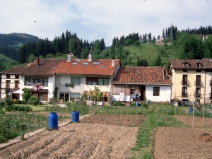Kalegoi
