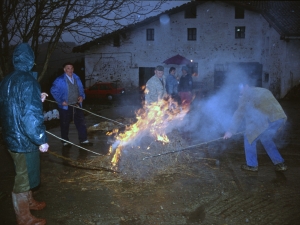 [Txerriari azala erretzeko sua prestatzen]