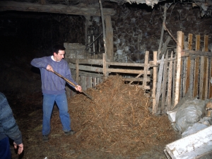 [Txerriaren azala erretzeko gariaren lastoa prestatzen]