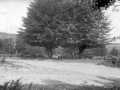 Aralarko San Migel Santutegira bidean