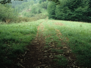 Camino a la ermita de Andra Mari de Kizkitza.