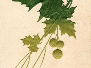 Logotipo zaharra