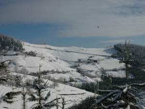 Iturrao (Itturrua) eta Santa Kurutz ingurua