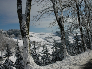 Mandiolaballe, Arrateko bidetik