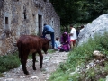 Astoa Pico de Europako Bulnes herrixkako kaleetan