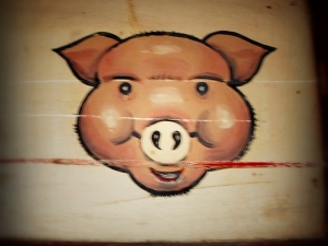 Pig