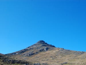 Ttutturre Perratxulotik