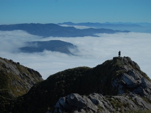 Balerdiko gailurreria