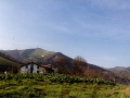 Bista orokorra