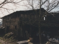 Bista orokorra