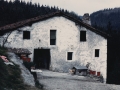 Bista orokorra