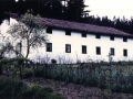 Bista orokorra