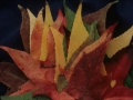 Natura. Ostoak
