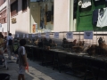Urteroko Azoka berezia. Azienda eta hegaztien erakusketa