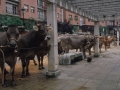 Azienda erakusketa
