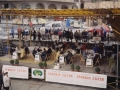 Beasaingo Odolki Lehiaketaren dastaketa San Martin plazan. Epai-mahaia odolkian dastatzen