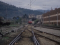 Trenbidea