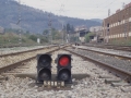 Beasaingo Renfeko geltokia. Trenbidea eta semaforoak lurrean