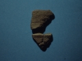 Trikuaizti I