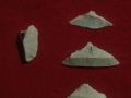 Trikuaizti I