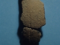 Trikuaizti I