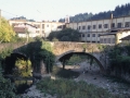 Zubia. Bista orokorra