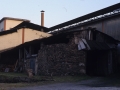 Ikaztegia