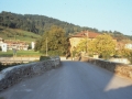 Zubia