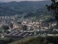 Beasaingo ikuspegia