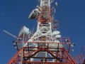 Antena