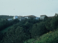 Auzoak