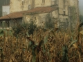 Arriarango San Pedro Eliza