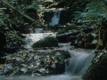 Ura. Erreka