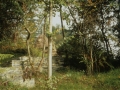Naturaleza. Sagastigutia parkea