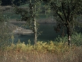 Urtegia