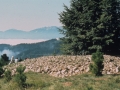 Trikuaizti I