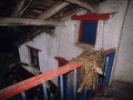 Librea