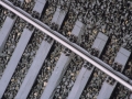 Librea tren bidea