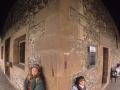 Librea