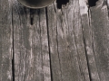 1084018.jpg