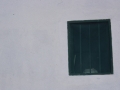 1084080.jpg
