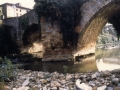 Igartzako zubia